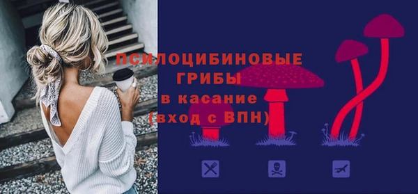 дмт Каменка