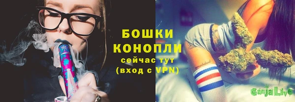 твердый Карпинск