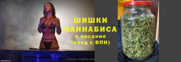 мет Касимов