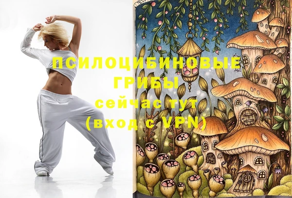 мет Касимов
