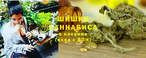 твердый Карпинск
