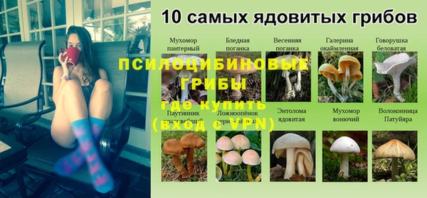 круглые Карталы
