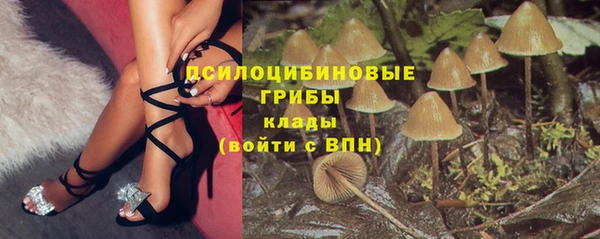 твердый Карпинск