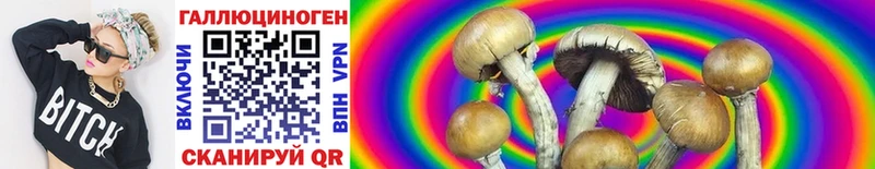 маркетплейс телеграм  Орск  Галлюциногенные грибы Cubensis 